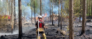 Brand i skogen – började i rislimpa och spred sig