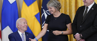 Ny svensk ambassadör i Ryssland