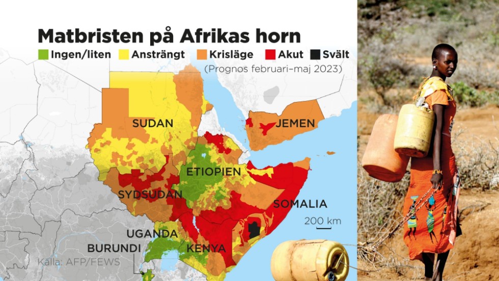 Över 20 miljoner människor riskerar att svälta och mer än 5 miljoner barn är akut undernärda på grund av torkan.