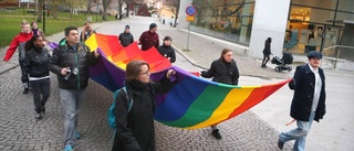 De marscherade med prideflaggan