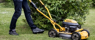 Låt gräs och blommor växa istället för att klippa