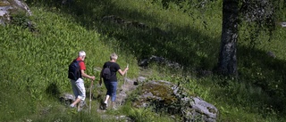 Gemenskap ger bättre hälsa i alla livets skeden