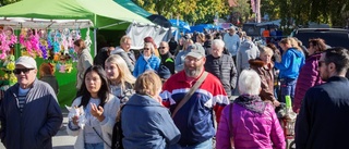 Klinte marknad växlar upp – hoppas på lagom fint väder • ”Annars stannar folk hemma och påtar i trädgården”