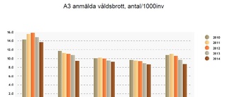 Kommunalrådet ser allvarligt på våldsbrotten i Boden