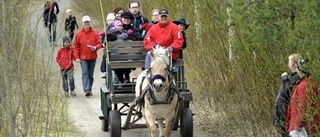 Hästskjuts och guldvaskning på Naturens dag