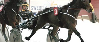 Lundberg - Bodens Champion