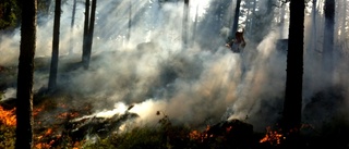 Skogsbrand söder om Kisa