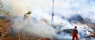 Brand bröt ut i skogen