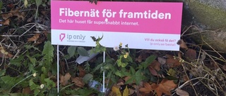 IP Only: "Vi underskattade utmaningarna på landsbygden"