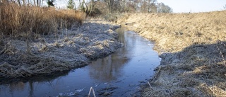 Svalt intresse för upphävt strandskydd