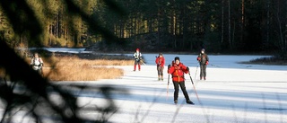 Skridskoåkarna i full fart