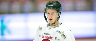 Ludvig Martinsson tillför allsvensk erfarenhet på backsidan