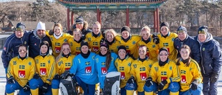 VM-guld i bandy till Plan och Sverige