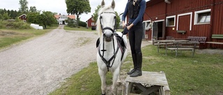 Så kan framtiden räddas för ridande barn på ponnyskolan