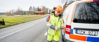 På jakt efter träd i riskzonen