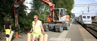 1,6 mil stängsel ska rädda sörmländska liv