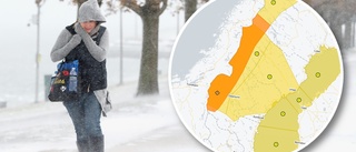 Storm alert: Norrland braces for more weather misery