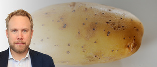 "Man gör allt för att skicka vidare en het potatis"