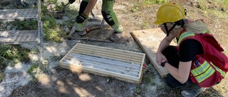 Här letar gruvjätten efter nya mineralfynd i Heby