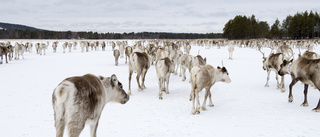 Gruvbolag får grönt ljus att bryta malm i Kiruna