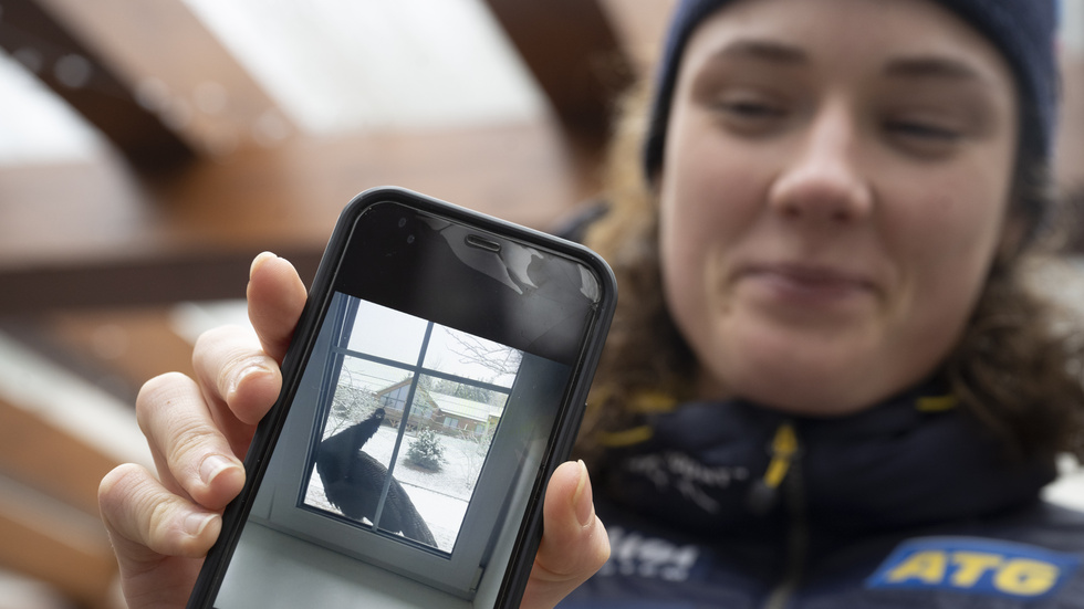 Hanna Öberg visar upp bilden på den fågel, kanske en påfågel, som väckte henne.