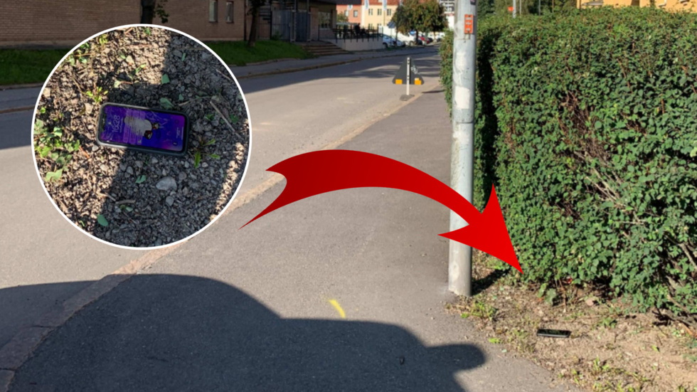Pojkens mobiltelefon hittades i ett buskage vid Sveaplan.