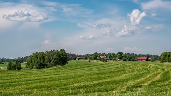 Här är utflykterna för en dag i ett somrigt Sörmland 