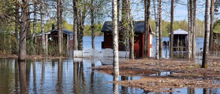 Inget nytt rekord – men älven fortfarande skyhög