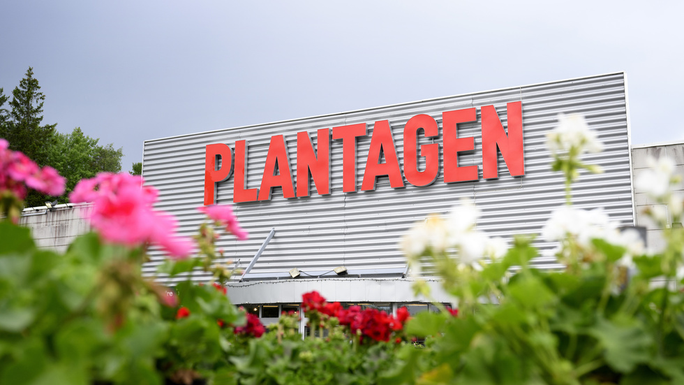 Ägaren av trädgårdskedjan Plantagen får sin ansökan om rekonstruktion beviljad.