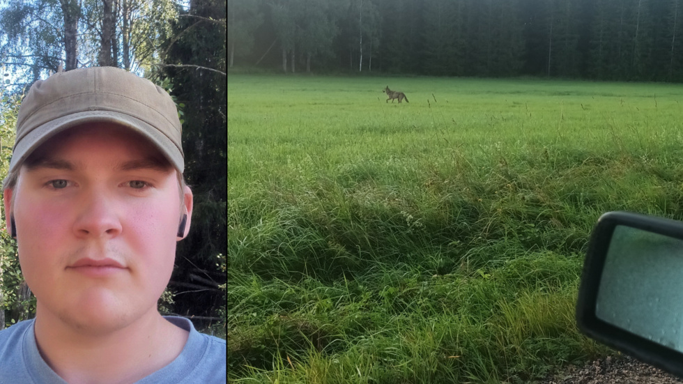 "Jag var inte rädd, men det var spännande", säger Leo Thorell som under måndagsmorgonen fotograferade en varg norr om Ökna.   