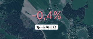 Tjulsta Gård AB: Redovisningen klar - så ser siffrorna ut