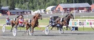 Favoriterna höll inte för trycket i Skellefteå