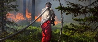 Bildextra: Se Håkan Stridbloms bilder från fronten