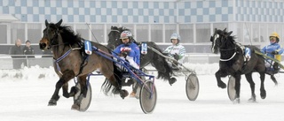 Ännu en seger för sjuåringen