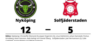 Solfjäderstaden tappade matchen i tredje perioden mot Nyköping