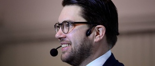 Blir Åkesson nästa statsminister?