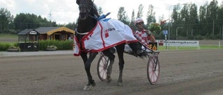 Välfyllda lopp i Bodentravet