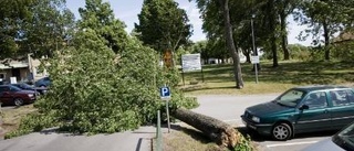 Stormvindarna orsakade olyckor