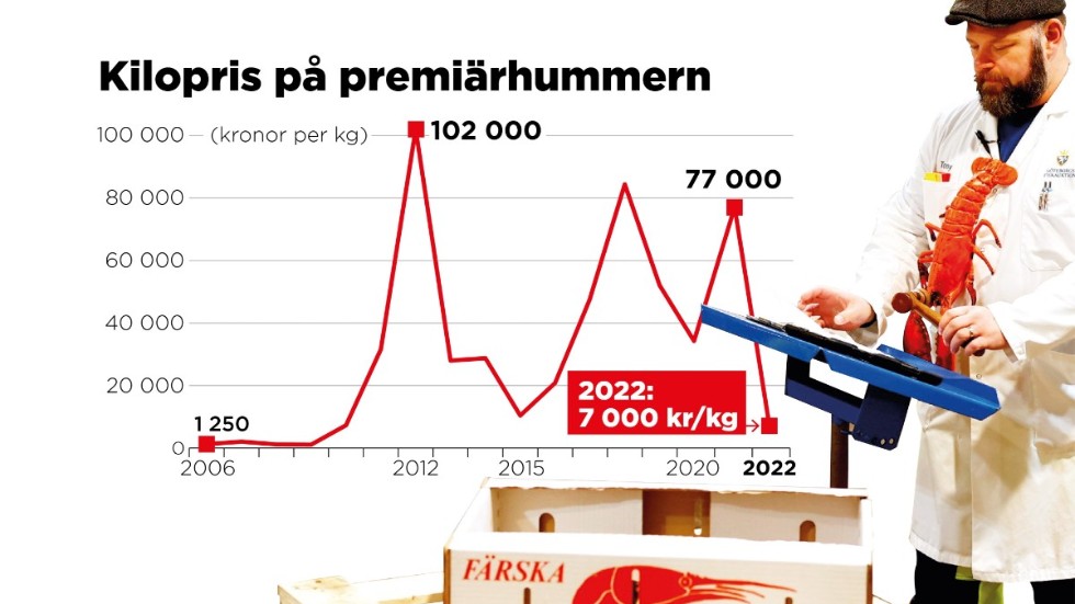 Kilopriset på premiärhummern på Göteborgs fiskeauktion.