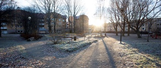 Munksundsbo vill bygga i parken