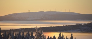 "Hoppas påbörja under nästa år"