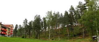 Utegym närmar sig Lomtjärnsparken