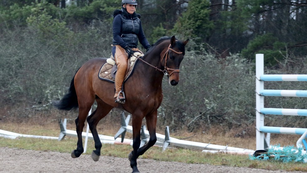Marlene Malmqvist rider DiMarabou hemma på gården och ger den träning som behövs.