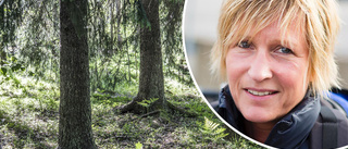 "Lyckliga skogen" ska lära unga om naturen