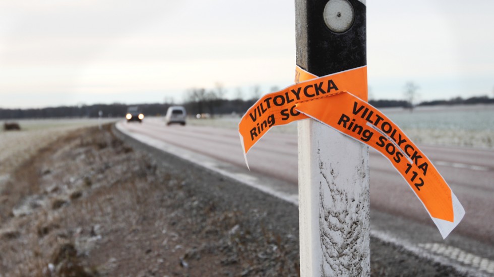 Viltolyckorna med kron- och dovhjort ökar stadigt kring Enköping.
