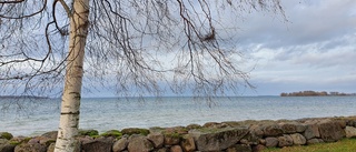 Ingen gör vågen för kallbadhus vid Vättern