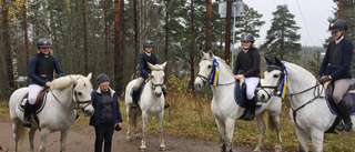 Nyrk fick en fullträff i sista omgången