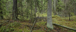 Överklagande av naturreservat prövas inte