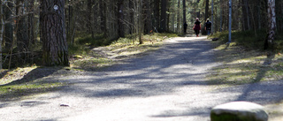 Nej, belysningen i Vrinneviskogen ska inte vara tänd på dagen