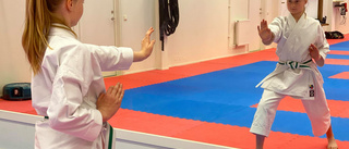 Fyra silver till Dojo i e-karate